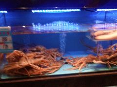 -阿伟海鲜楼·福建菜(延寿店)