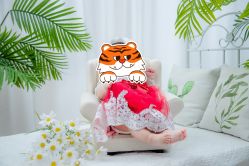 -小熊维尼高端儿童摄影(宝安旗舰店)
