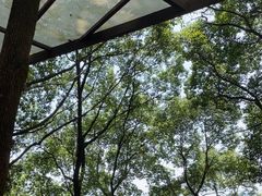 -巴倒烫陆派火锅山庄(南山总店)
