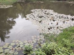 -白沙门生态公园