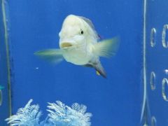 -洛阳龙门海洋馆