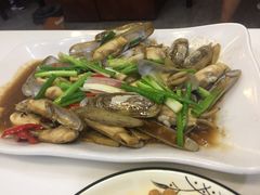 -鑫悦楼煎蟹·16年海鲜大排档