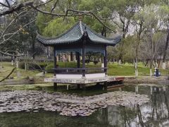 -月湖风景区
