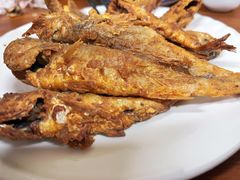 -东北菜冰城一家人