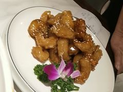 -新侨小馆(东直门北小街店)