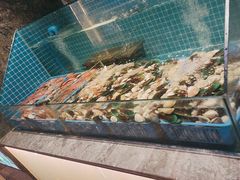 -曼格活海鲜·牛排自助(光明蓝鲸店)