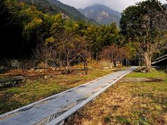-祁门牯牛降观音堂风景区