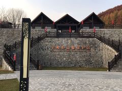 -云岭野山参风景区