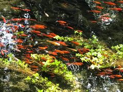 -水磨沟公园
