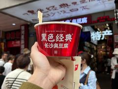 -黑色经典臭豆腐·湖南特产(潇湘文化店)