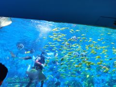 -横店影视城梦幻谷园区