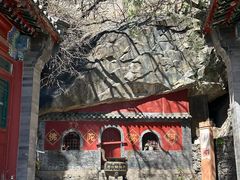 -北京鹫峰国家森林公园