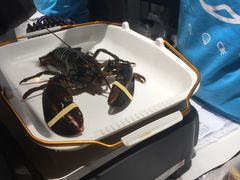 -盒马鲜生(莱蒙都会店)
