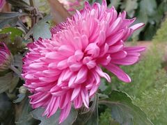 -螃蟹岬(地铁站)