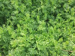 -儒之堂足道·SPA·推拿(莫干山路店)