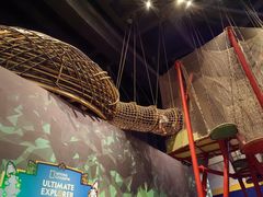 -珠海横琴国家地理探险家中心(创新方)