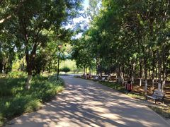 -永定河休闲森林公园