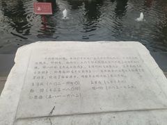 景点-大唐不夜城贞观广场