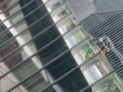 -凤凰湘语·湘粤鲜融(浦东旗舰店)