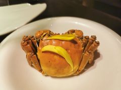 -蟹榭·本帮江浙菜·蟹宴(五角场合生汇商场店)