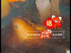 -满記土窑烧鷄波浪山莊