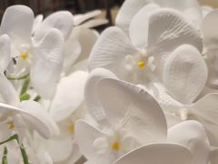 -南堂馆·新川菜(天府三街店)