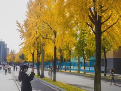 -四川大学(望江校区)
