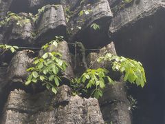 -梭布垭石林景区