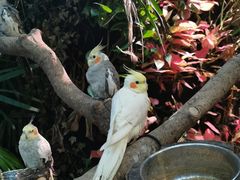 -正佳雨林生态植物园