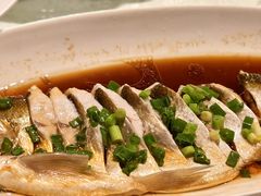 豉油蒸白水鱼-金美华轩(东方路齐鲁店)