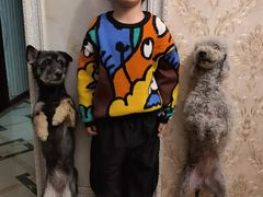 -潮童星少儿模特时尚中心(黄浦博荟广场店)