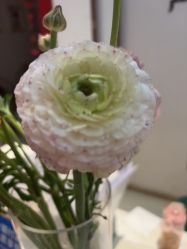 -Dr.林醫生产后修复·配方产康店(南京大厂店)