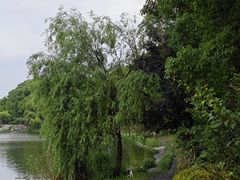 -美兰湖景区