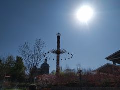 -辛玛王国游乐园