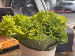 -佟爷·老北京炙子烤肉(动物园店)