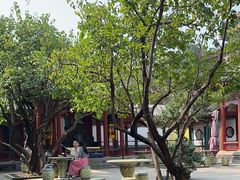 -宫事颐庭·老佛爷贵寿下午茶(颐和园店)