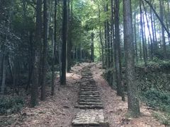 -莫干山风景区