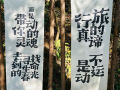 -洪崖丹井