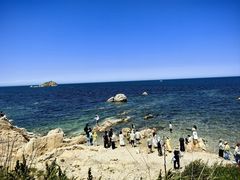 -养马岛旅游度假区