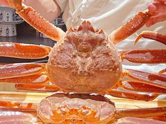 -鮨政·Omakase(港汇恒隆广场店)
