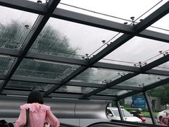 -大龙山(地铁站)