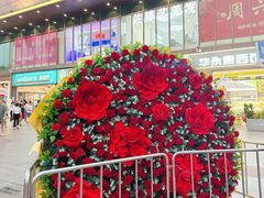 -金铂广场(龙归店)