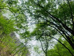 -北京上方山国家森林公园