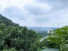 -杭州半山国家森林公园