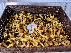 -蘑界·野生菌火锅(深业上城店)