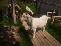 -美家乐农庄·露营·团建(大治路店)