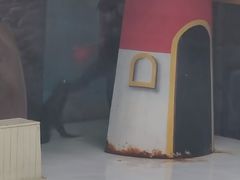 -锦艺城海洋馆