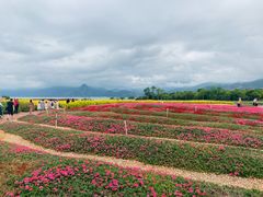 -抚仙湖禄充风景区