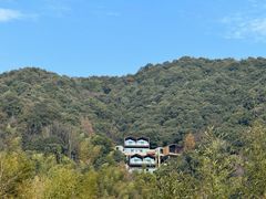 -千岛湖安岚·湖景全日餐厅