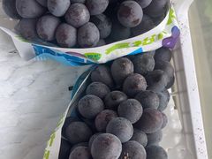 -马陆小张葡萄园农家乐